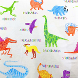 Kinder-PJ-Set Dinosaurier